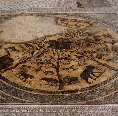 Animali selvatici, mosaico romano dalla Casa di Orfeo, III sec. d.C. da Roman Roman